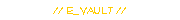 // e_Vault //